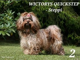 Wictorys Quickstep